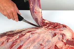 Rhomboideus Meat Cut Spec Step 3